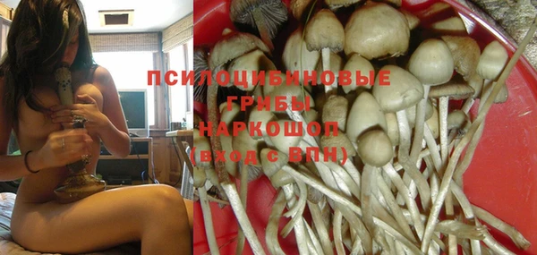 прущая мука Алексин