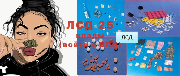 стаф Алзамай