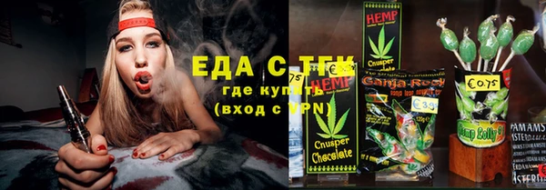 стаф Алзамай