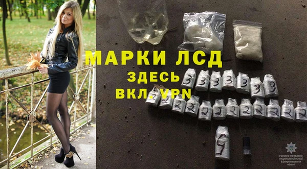 стаф Алзамай