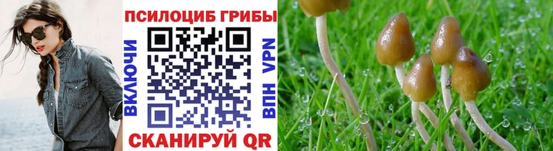 Псилоцибиновые грибы мухоморы  Новодвинск 