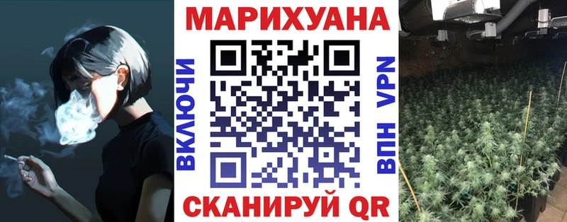 OMG ссылки  Новодвинск  Канабис сатива 